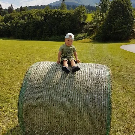 Grieseltal, Pension Schwendt (Pillerseetal)